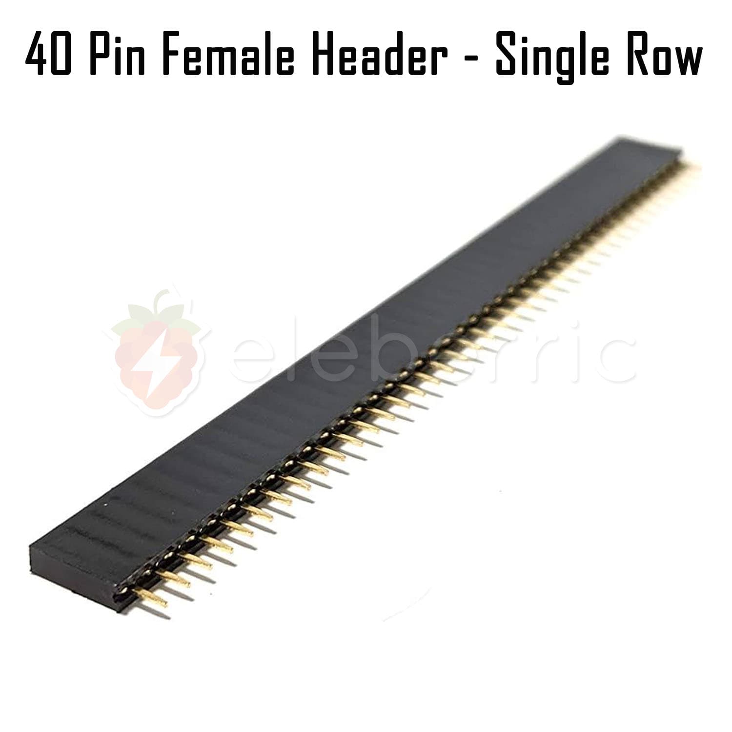 40 Pin Female Header Single Row - View 2