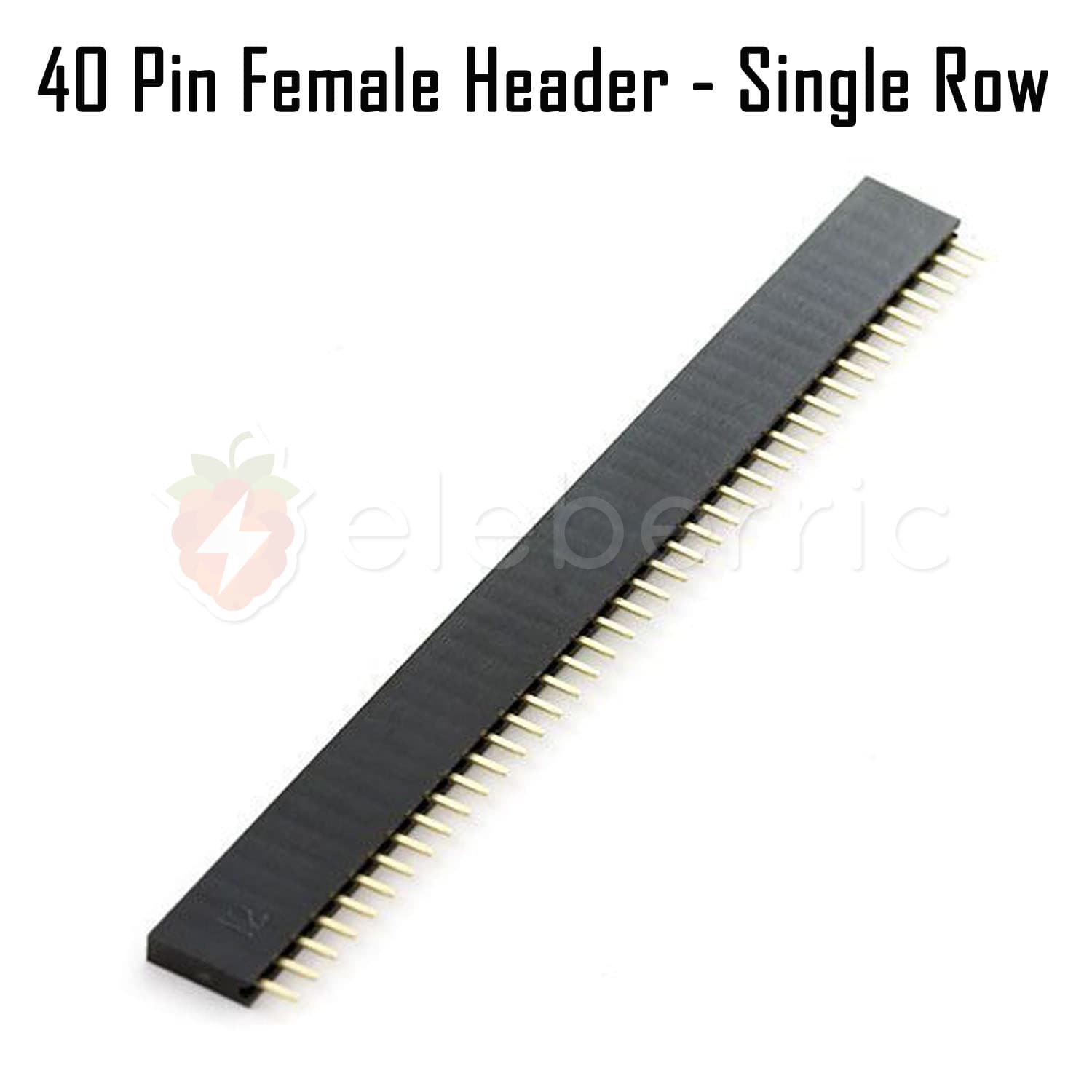 40 Pin Female Header Single Row - View 3
