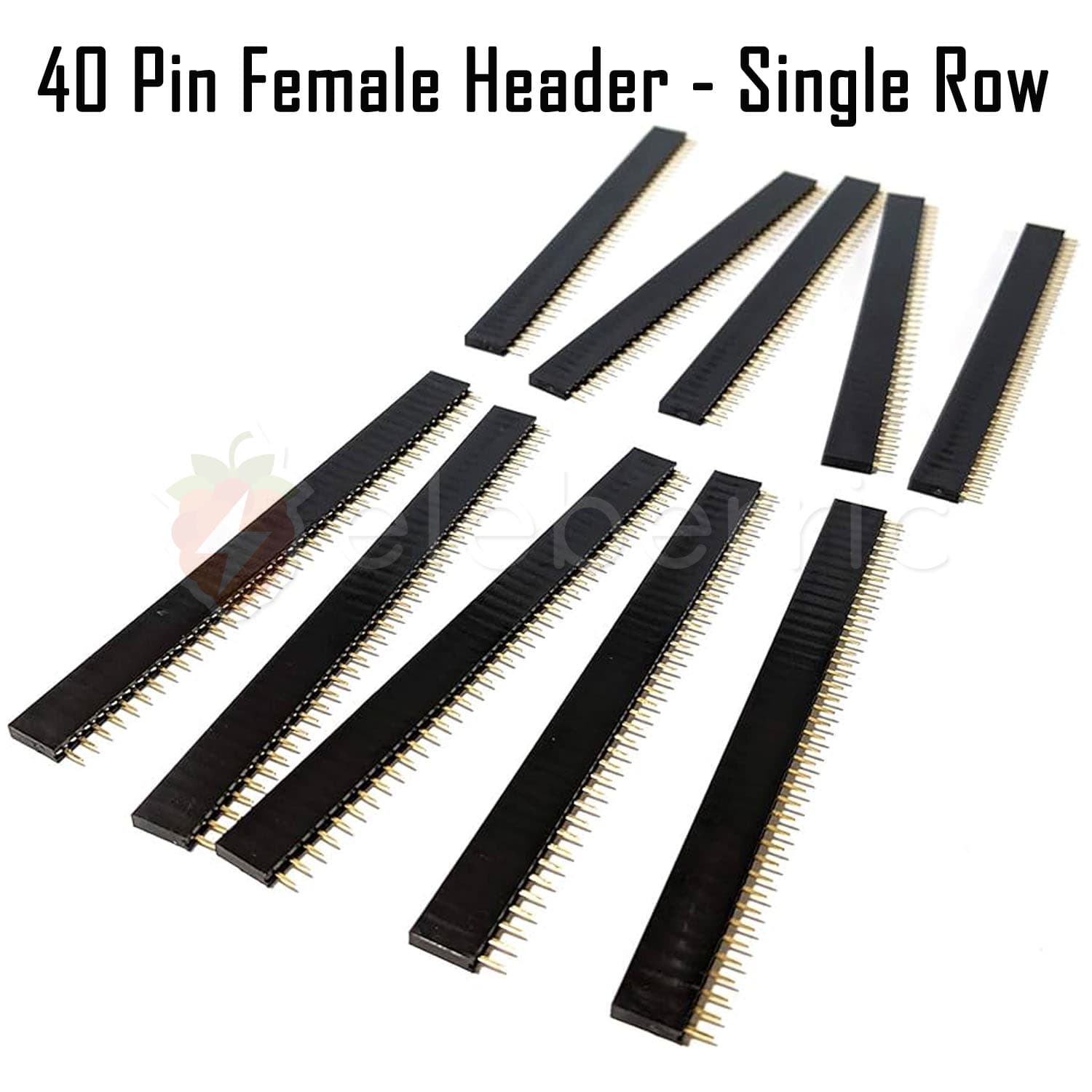40 Pin Female Header Single Row - View 4