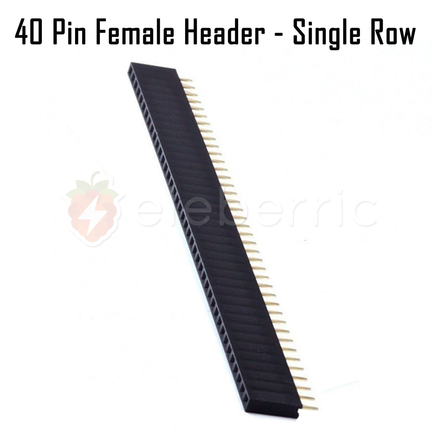 40 Pin Female Header Single Row Full View 1