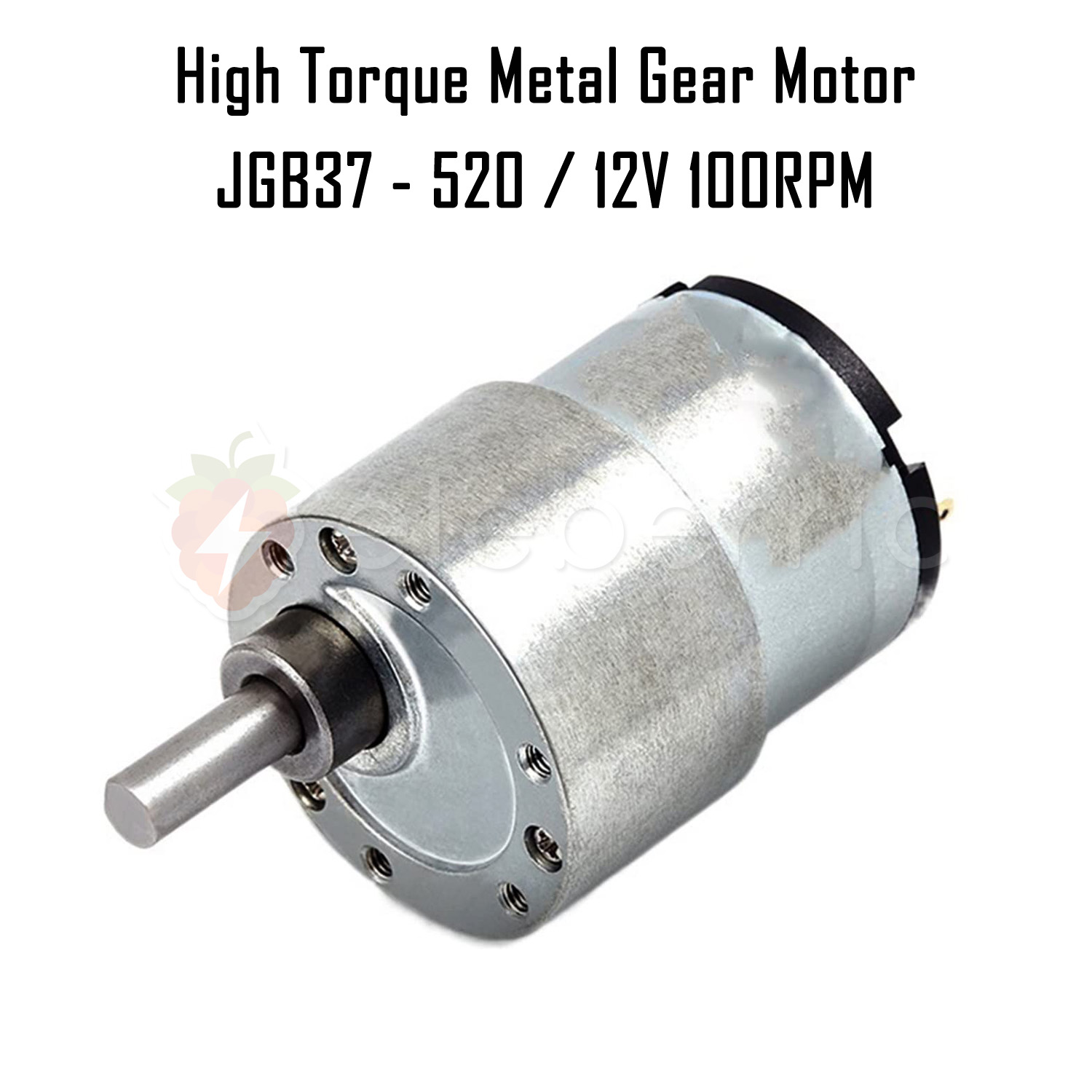 JGB37-520 12V 100 RPM High Torque Metal Gear Motor Full View 1